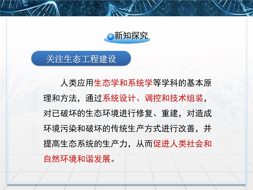 人教版 (新課標(biāo))高中生物選修3 5.1《生態(tài)工程的基本原理》課件第5頁