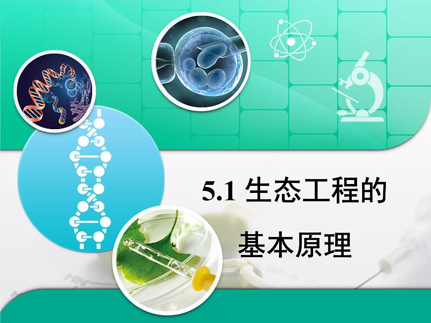 人教版 (新課標(biāo))高中生物選修3 5.1《生態(tài)工程的基本原理》課件第1頁