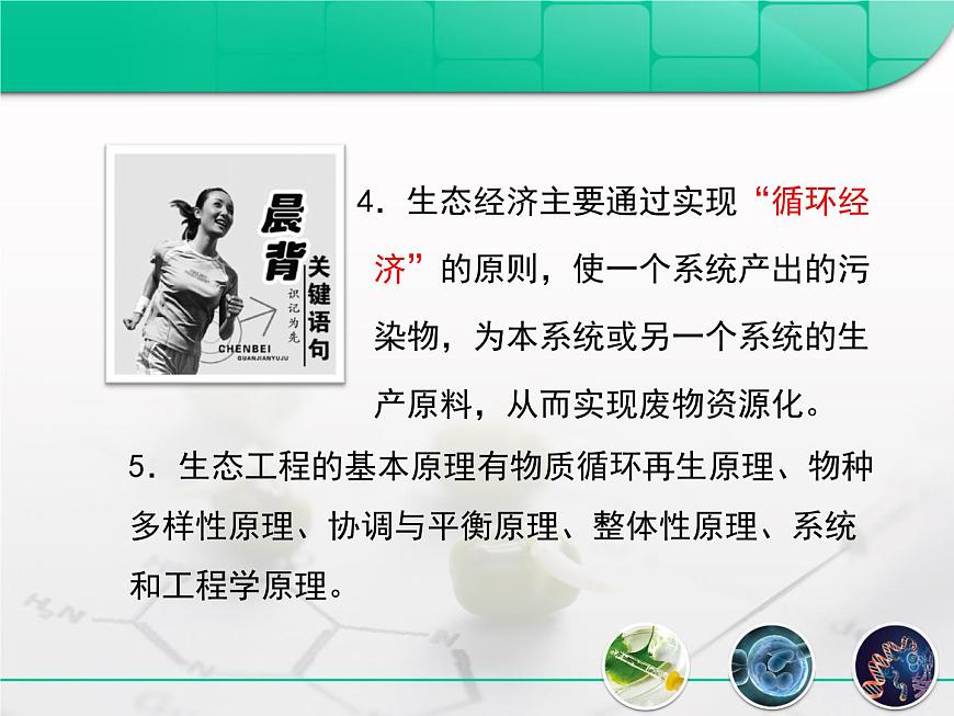 人教版 (新課標(biāo))高中生物選修3 5.1《生態(tài)工程的基本原理》課件第3頁
