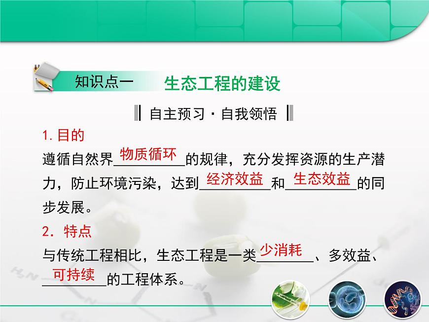 人教版 (新課標(biāo))高中生物選修3 5.1《生態(tài)工程的基本原理》課件第4頁