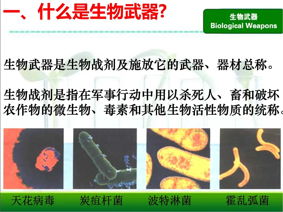 人教版 (新课标)高中生物选修3 4.3《禁止生物武器》课件第4页