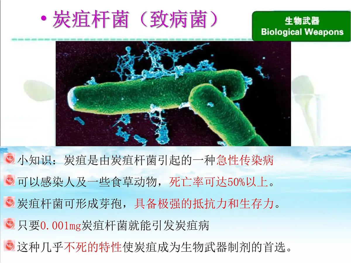 人教版 (新课标)高中生物选修3 4.3《禁止生物武器》课件第6页