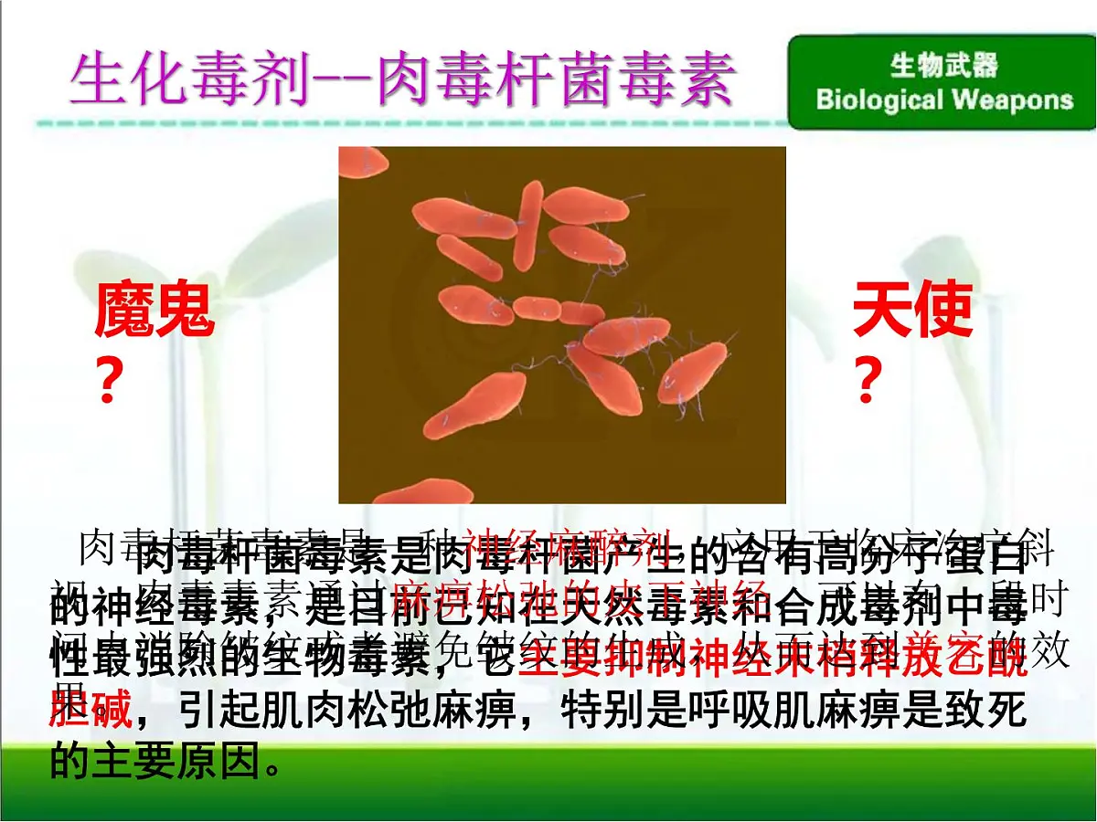 人教版 (新课标)高中生物选修3 4.3《禁止生物武器》课件第8页