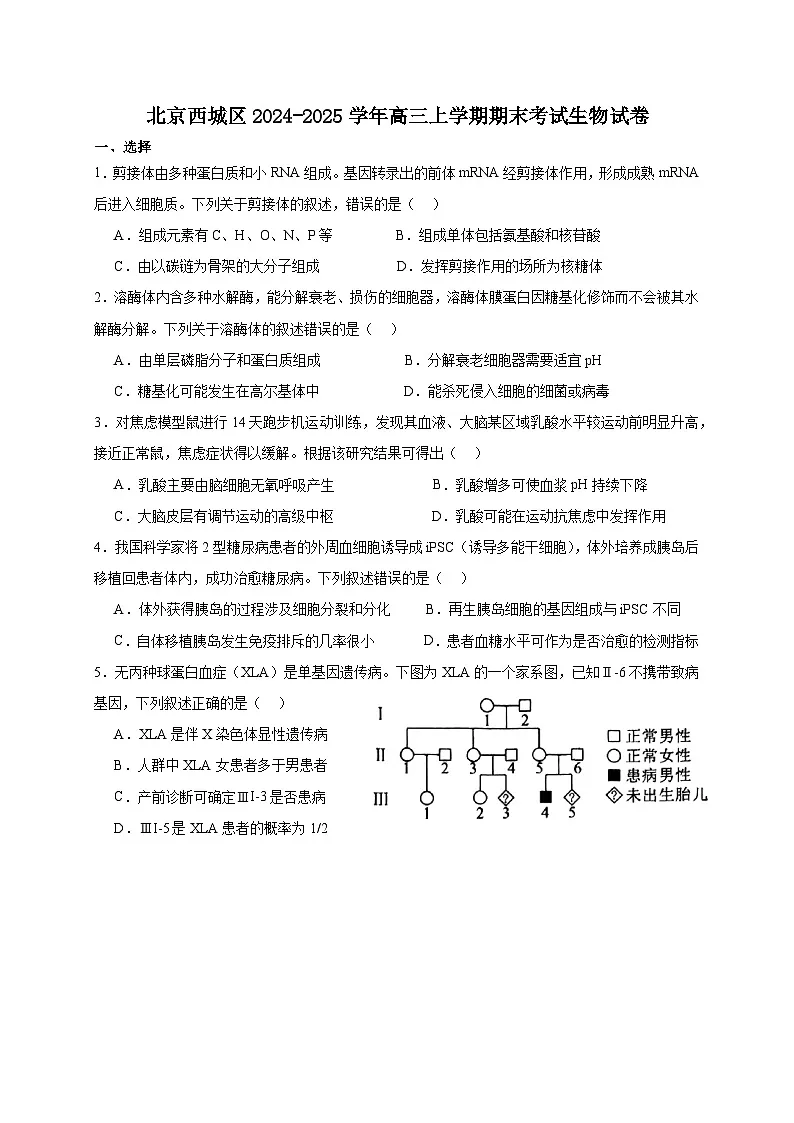 北京市西城区2024-2025学年高三上学期期末考试生物试卷第1页