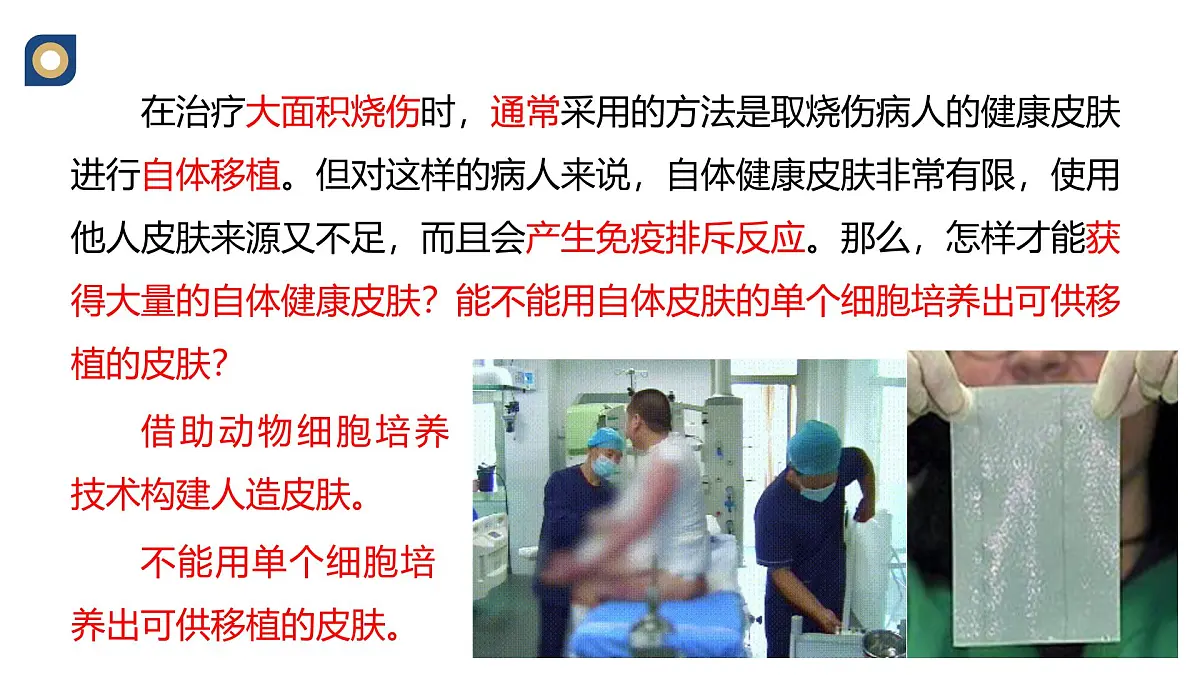 人教版高中生物 选修3《2-2 动物细胞培养》教学课件第2页