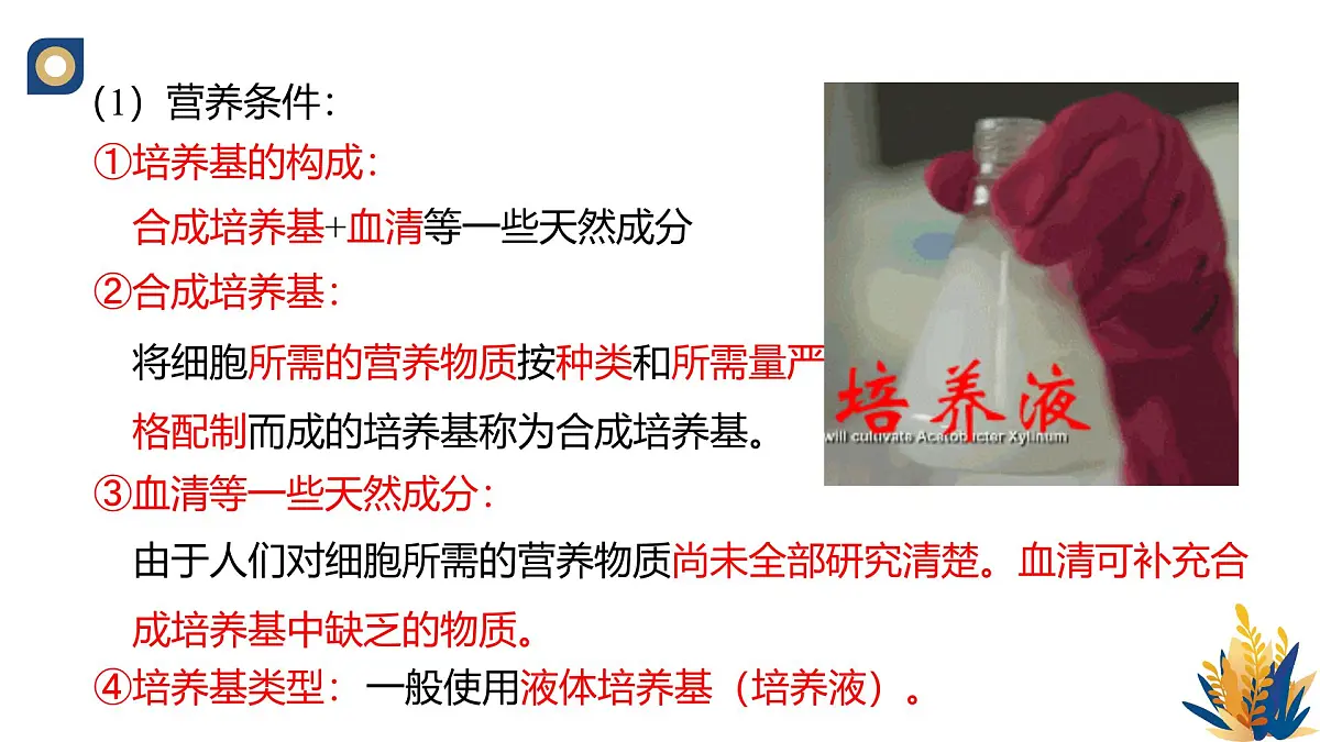 人教版高中生物 选修3《2-2 动物细胞培养》教学课件第5页