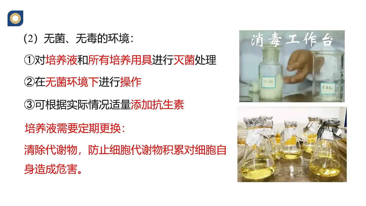 人教版高中生物 选修3《2-2 动物细胞培养》教学课件第7页