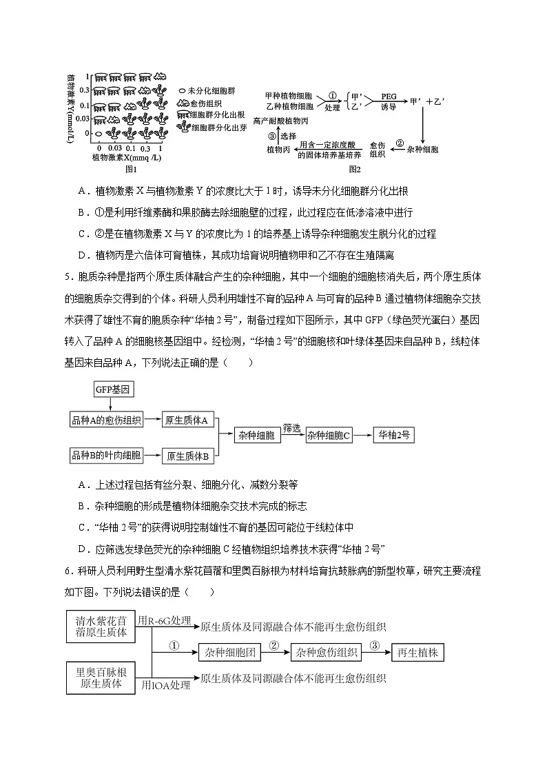 人教版高中生物 选修3 第2章细胞工程 能力提升卷(原卷版 无答案)第2页