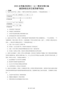 2025北京重点校高三(上)期末真题生物汇编:基因突变及其它变异章节综合