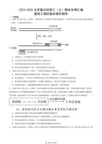 2023-2025北京重点校高三（上）期末真题生物汇编：基因工程的基本操作程序