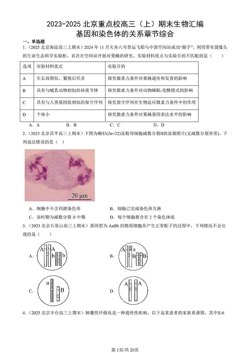 2023-2025北京重点校高三(上)期末真题生物汇编:基因和染色体的关系章节综合第1页