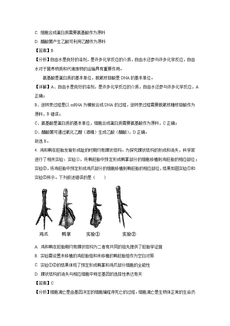 河北省(石家庄市)部分学校2025届高三下5月模拟(五)生物试卷(解析版)第3页