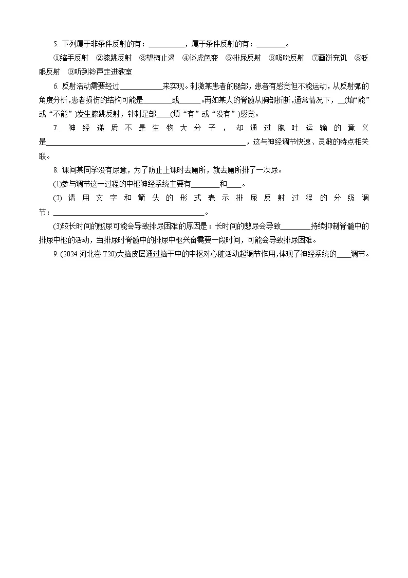 2026年高考生物一轮复习:人教版(2019)选择性必修1《稳态与调节》考点知识提纲默写练习题版(含答案)第3页