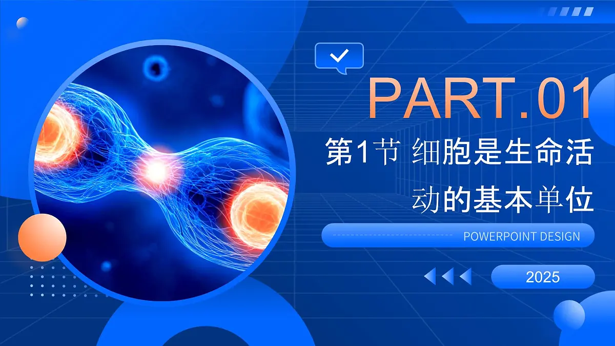 第1章 走近细胞-2025-2026学年高一生物上学期核心知识概括课件(人教版2019必修1)第3页