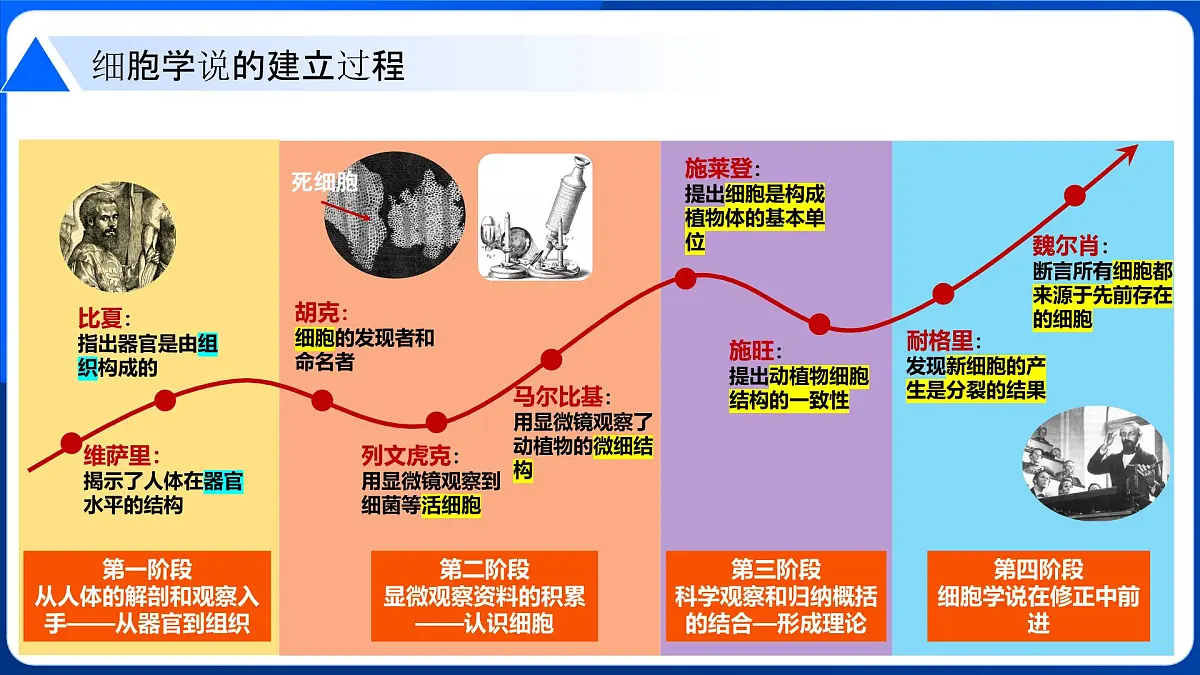 第1章 走近细胞-2025-2026学年高一生物上学期核心知识概括课件(人教版2019必修1)第5页