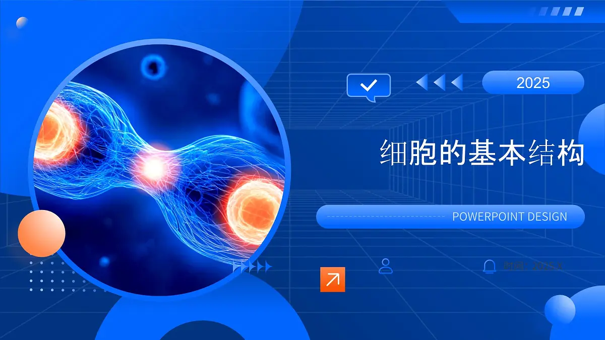 第3章 细胞的基本结构-2025-2026学年高一生物上学期核心核心知识概括课件(人教版2019必修1)1第1页