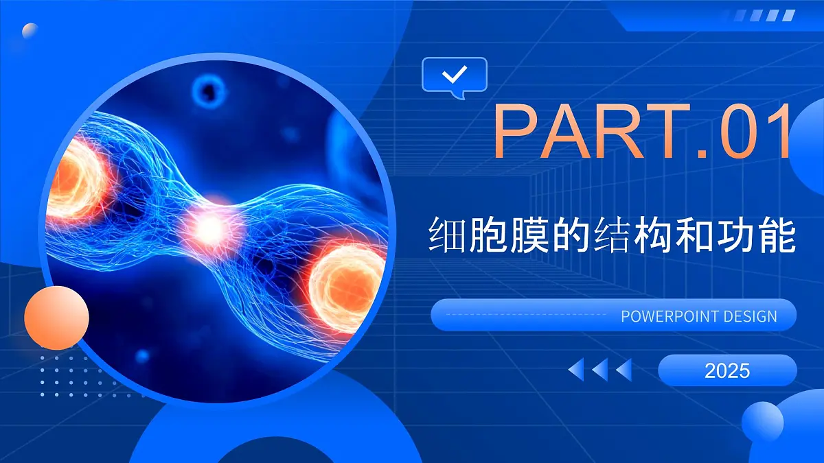 第3章 细胞的基本结构-2025-2026学年高一生物上学期核心核心知识概括课件(人教版2019必修1)1第3页