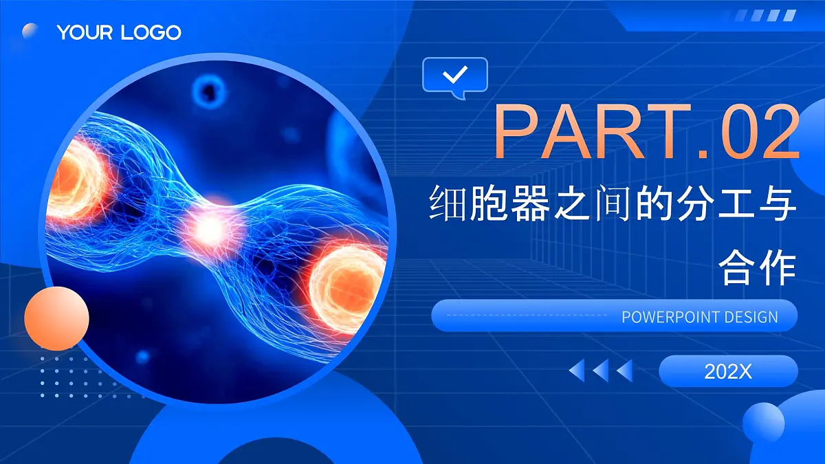 第3章 细胞的基本结构-2025-2026学年高一生物上学期核心核心知识概括课件(人教版2019必修1)1第7页
