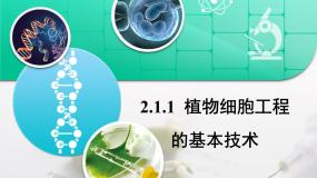 高中生物人教版 (新课标)选修3《现代生物科技专题》植物细胞工程的基本技术复习ppt课件