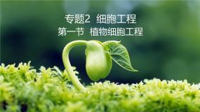 生物选修3《现代生物科技专题》植物细胞工程的基本技术背景图ppt课件