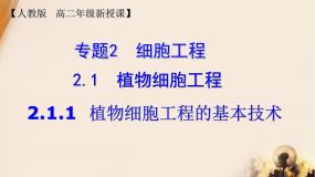 高中生物人教版 (新课标)选修3《现代生物科技专题》植物细胞工程的基本技术示范课ppt课件