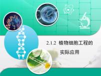 高中生物人教版 (新课标)选修3《现代生物科技专题》植物细胞工程的实际应用复习课件ppt