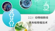 高中生物人教版 (新课标)选修3《现代生物科技专题》动物细胞培养和核移植技术复习ppt课件