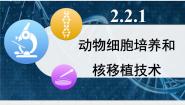 人教版 (新课标)动物细胞培养和核移植技术多媒体教学课件ppt