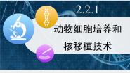 高中生物人教版 (新课标)选修3《现代生物科技专题》动物细胞培养和核移植技术评课课件ppt