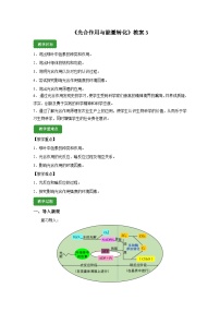 人教版 (2019)必修1《分子与细胞》光合作用的原理和应用第2课时教案