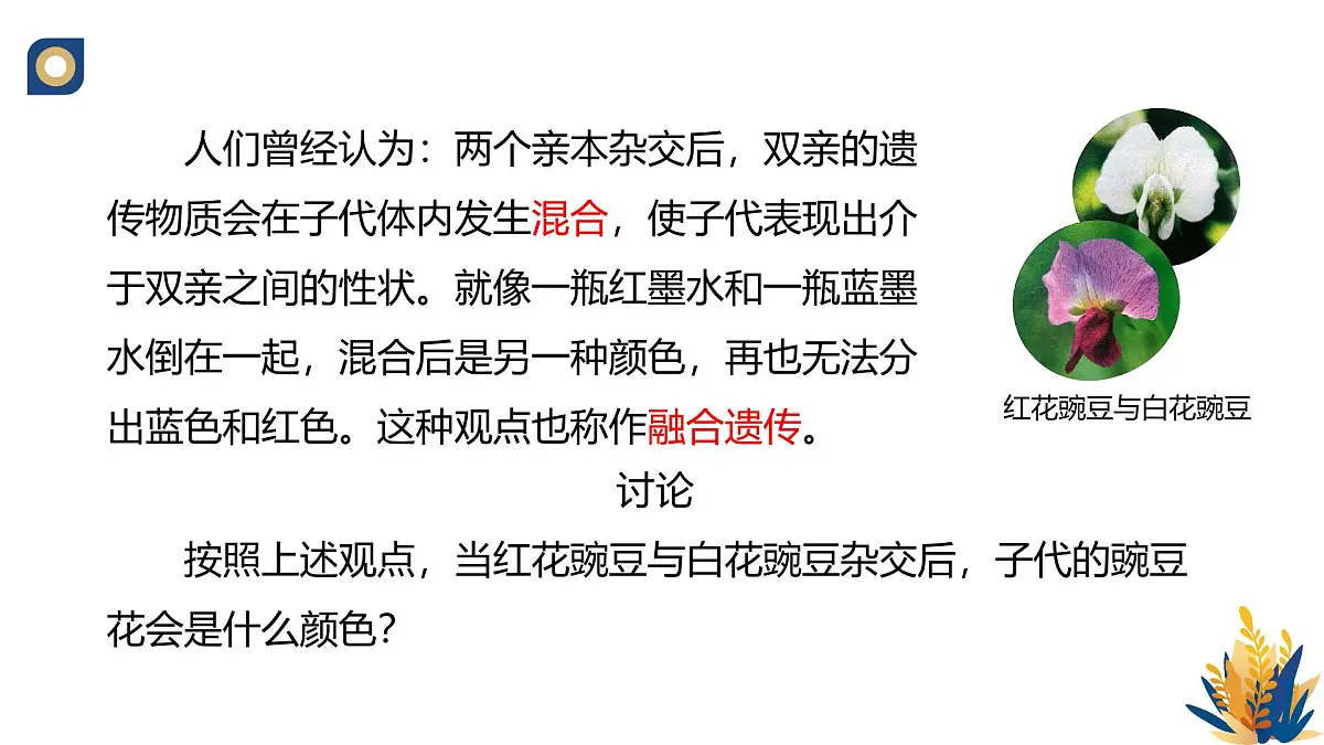 人教版高中生物必修2 1-1《孟德尔的豌豆杂交实验(一)(第一课时)》教学课件第3页