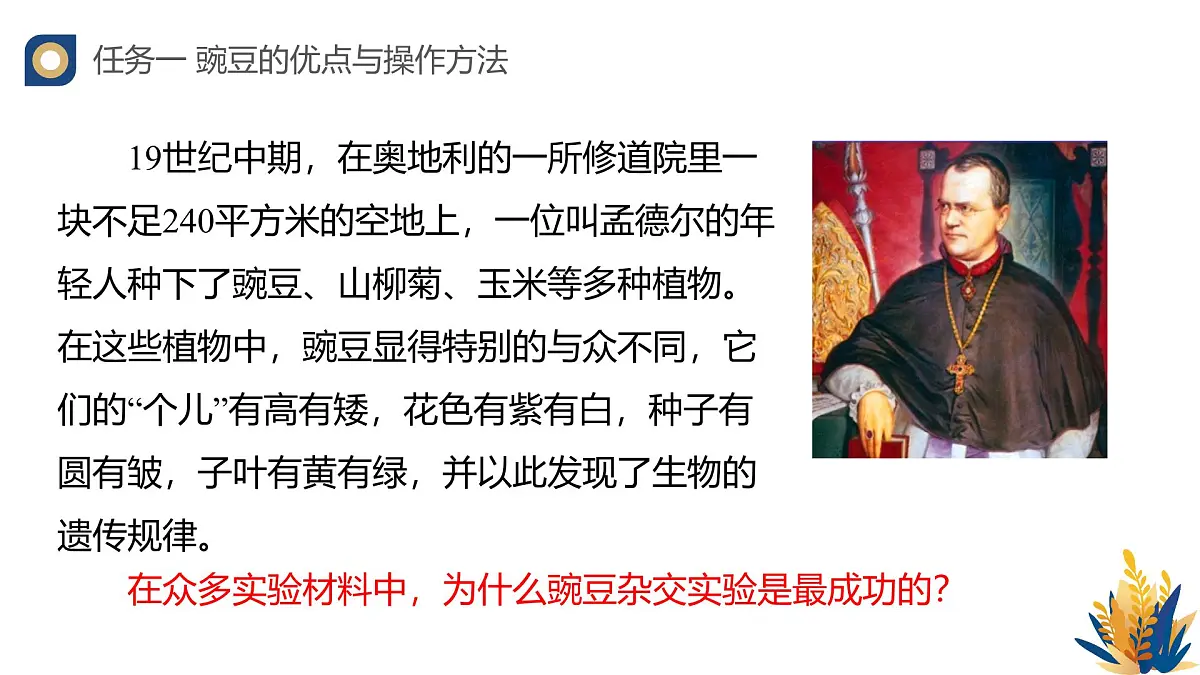 人教版高中生物必修2 1-1《孟德尔的豌豆杂交实验(一)(第一课时)》教学课件第5页