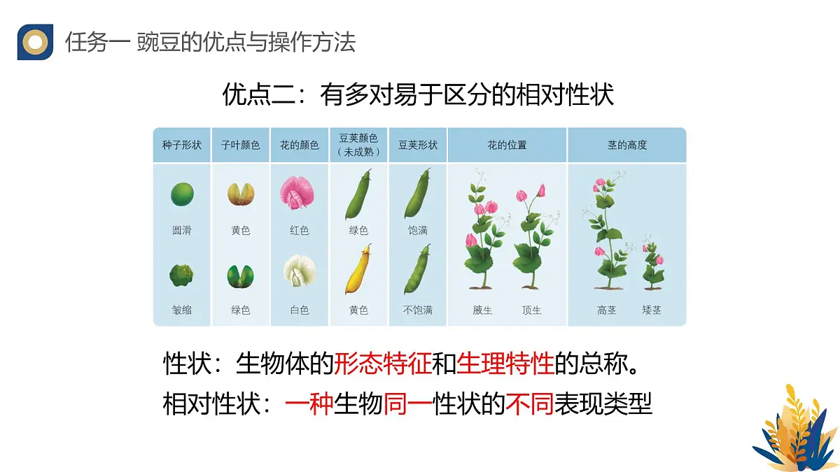 人教版高中生物必修2 1-1《孟德尔的豌豆杂交实验(一)(第一课时)》教学课件第7页