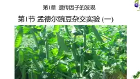 高中生物盂德尔的豌豆杂交实验(一)备课ppt课件
