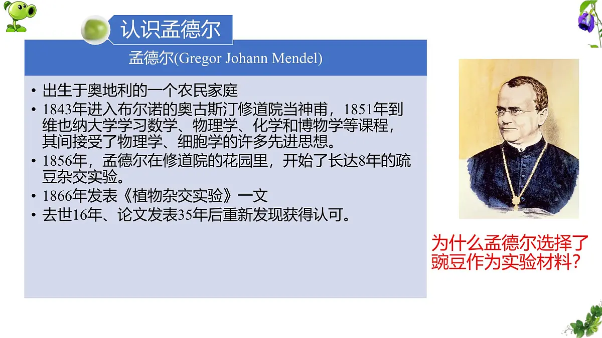 人教版高中生物必修2 1-1《孟德尔豌豆杂交实验(一)》课时1 课件第4页
