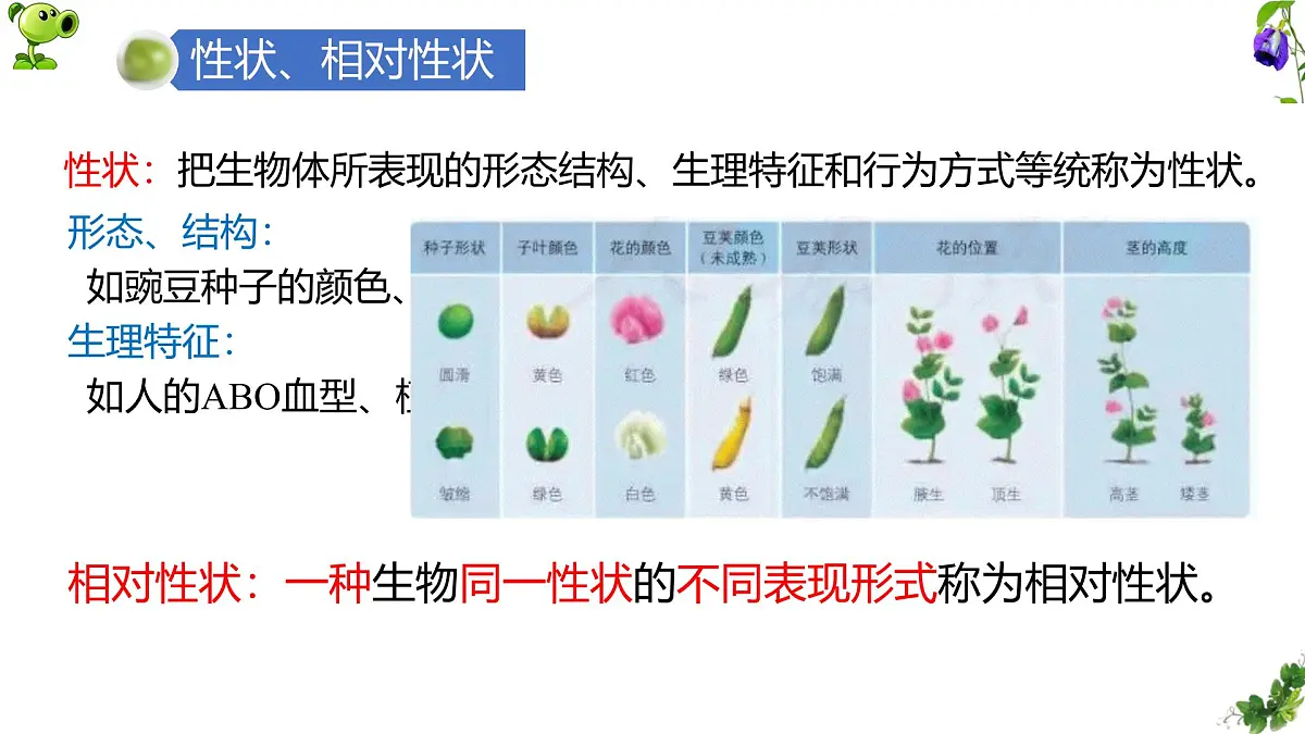 人教版高中生物必修2 1-1《孟德尔豌豆杂交实验(一)》课时1 课件第6页