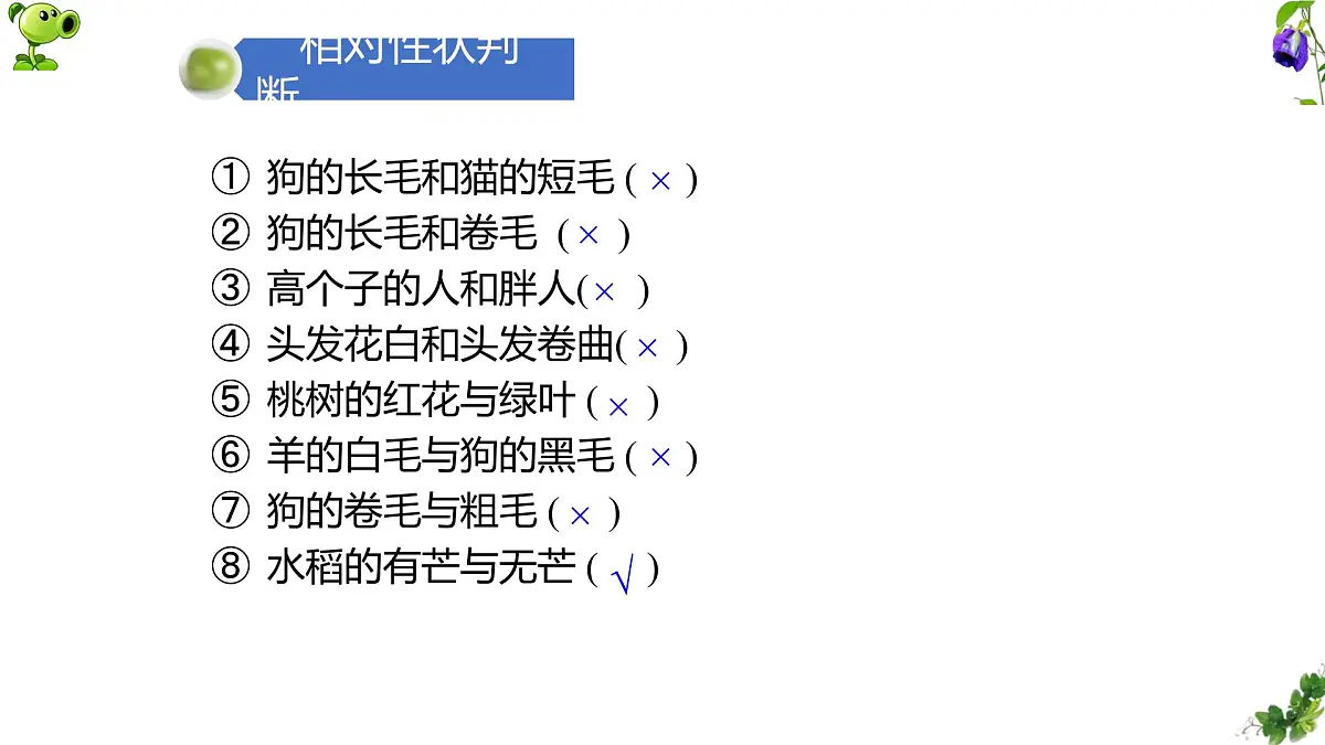 人教版高中生物必修2 1-1《孟德尔豌豆杂交实验(一)》课时1 课件第7页