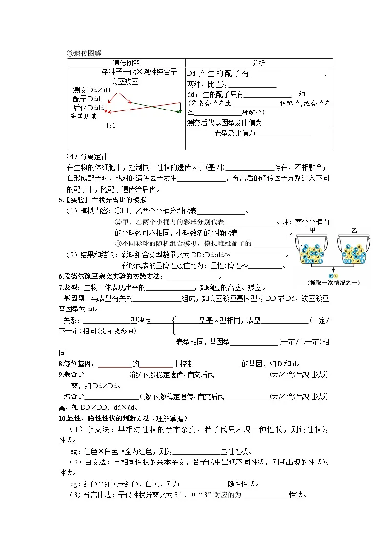 人教版高中生物必修2 第一章 遗传因子的发现 章末知识点复习总结第2页