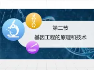 浙科版高中生物选修3 1-2《基因工程的原理和技术》教学课件