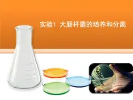 浙科版高中生物选修1 第一部分《大肠杆菌的培养和分离》教学课件