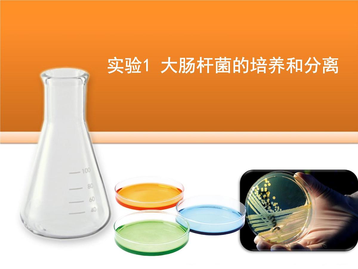 浙科版高中生物选修1 第一部分《大肠杆菌的培养和分离》教学课件第1页