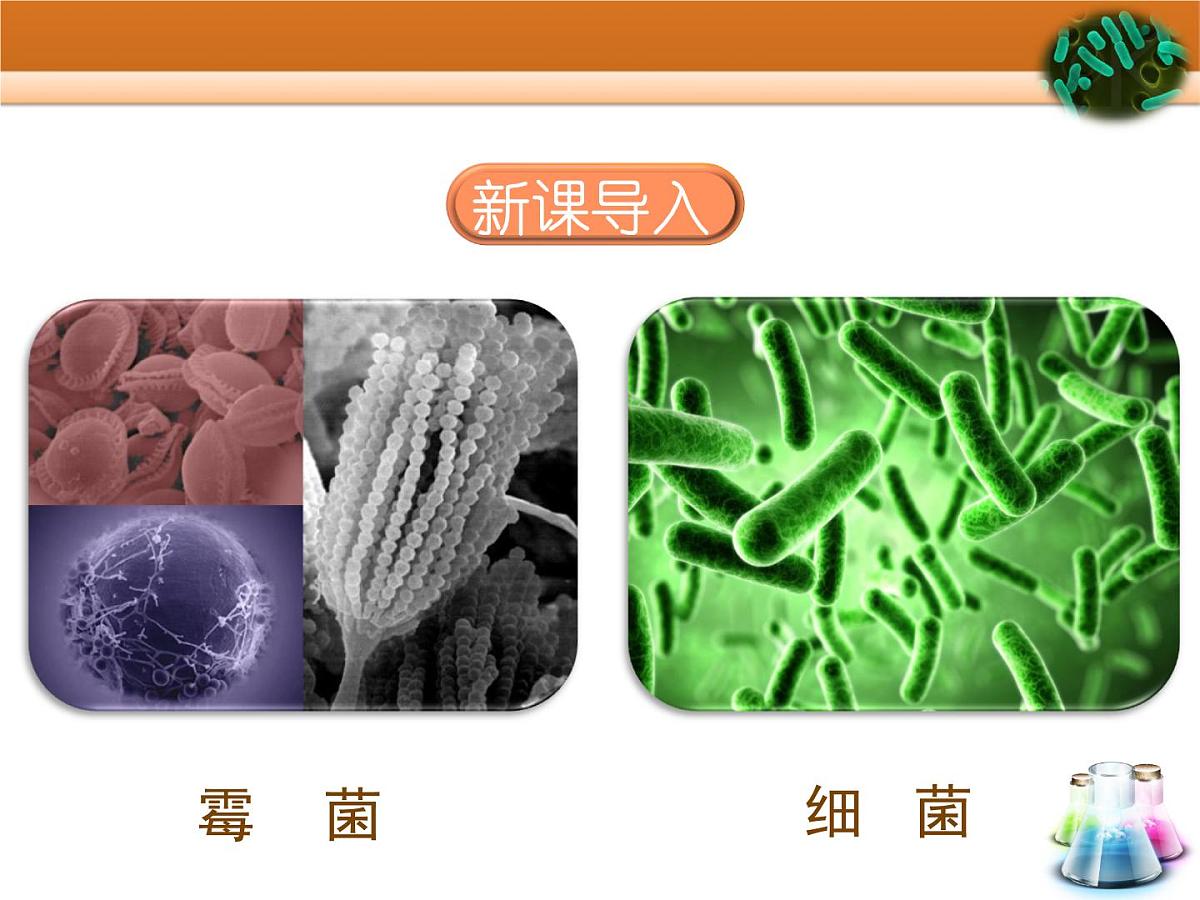 浙科版高中生物选修1 第一部分《大肠杆菌的培养和分离》教学课件第3页