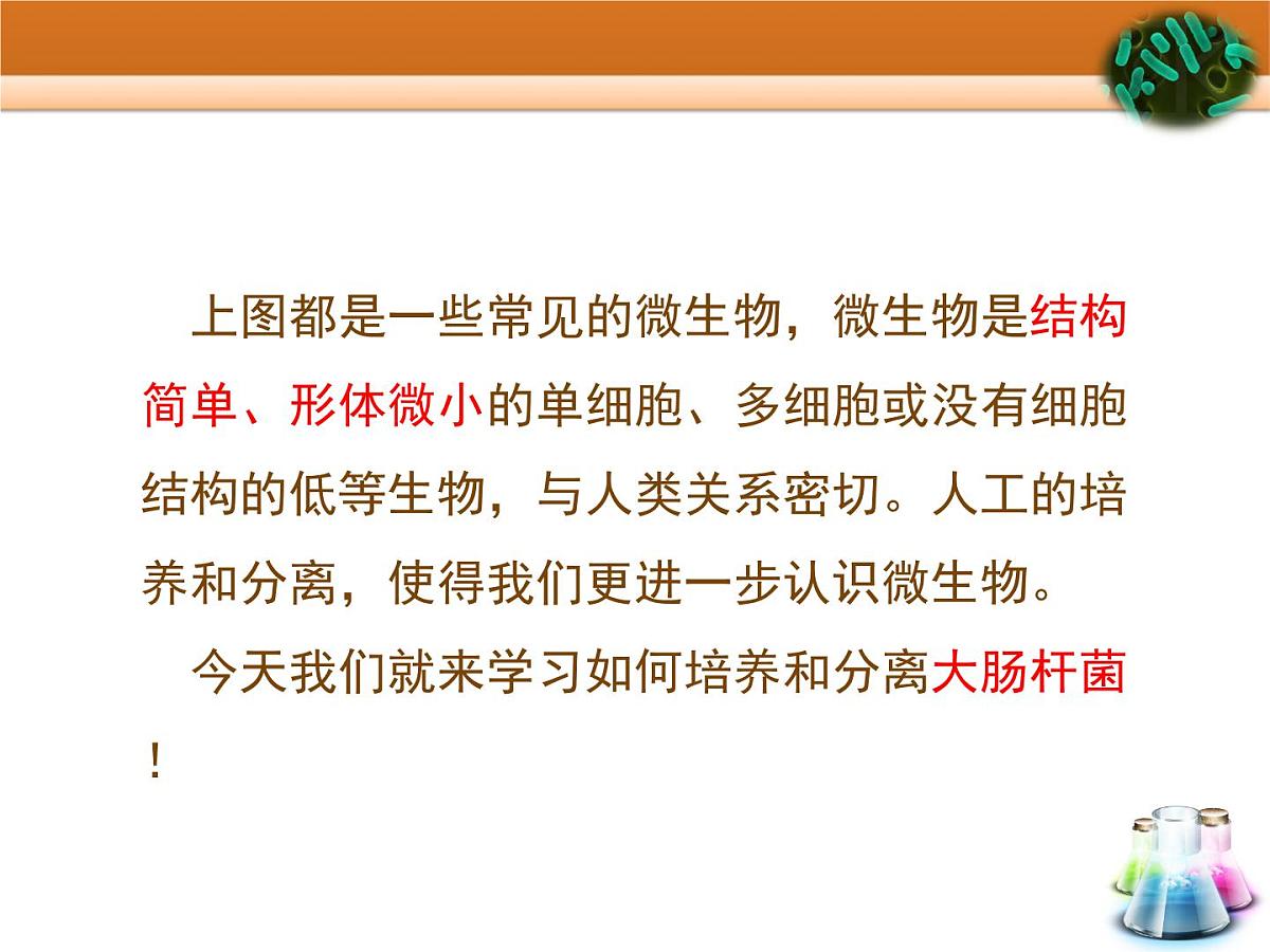 浙科版高中生物选修1 第一部分《大肠杆菌的培养和分离》教学课件第5页