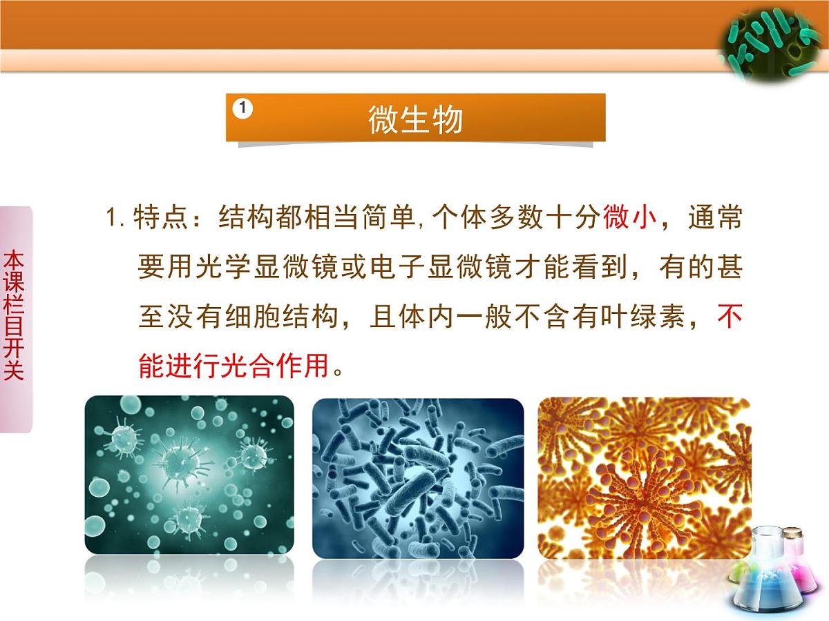 浙科版高中生物选修1 第一部分《大肠杆菌的培养和分离》教学课件第7页