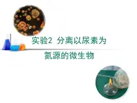 浙科版高中生物选修1 第一部分《分离以尿素为氮源的微生物》教学课件