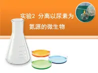 浙科版高中生物选修1 第一部分《分离以尿素为氮源的微生物》教学课件