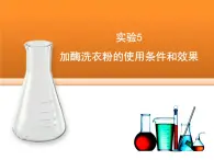 浙科版高中生物选修1 第二部分《加酶洗衣粉的使用条件和效果》讲授课件