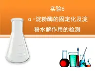 浙科版高中生物选修1 第二部分《α-淀粉酶的固定化及淀粉水解作用的检测》讲授课件