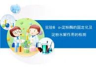 浙科版高中生物选修1 第二部分《α-淀粉酶的固定化及淀粉水解作用的检测》讲授课件