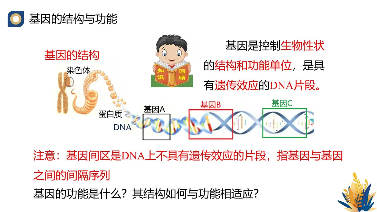 人教版高中生物 选修3《3-2 基因工程的操作程序(第1课时)》教学课件第4页